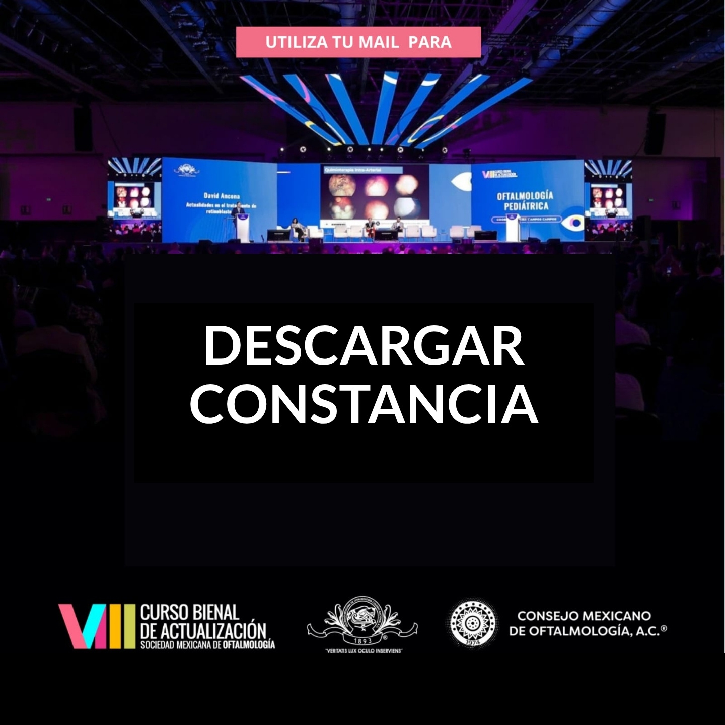 VIII Curso Bienal